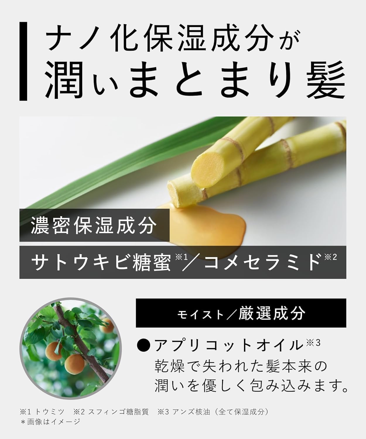 BOTANIST ボタニスト シャンプー トリートメント セット モイスト