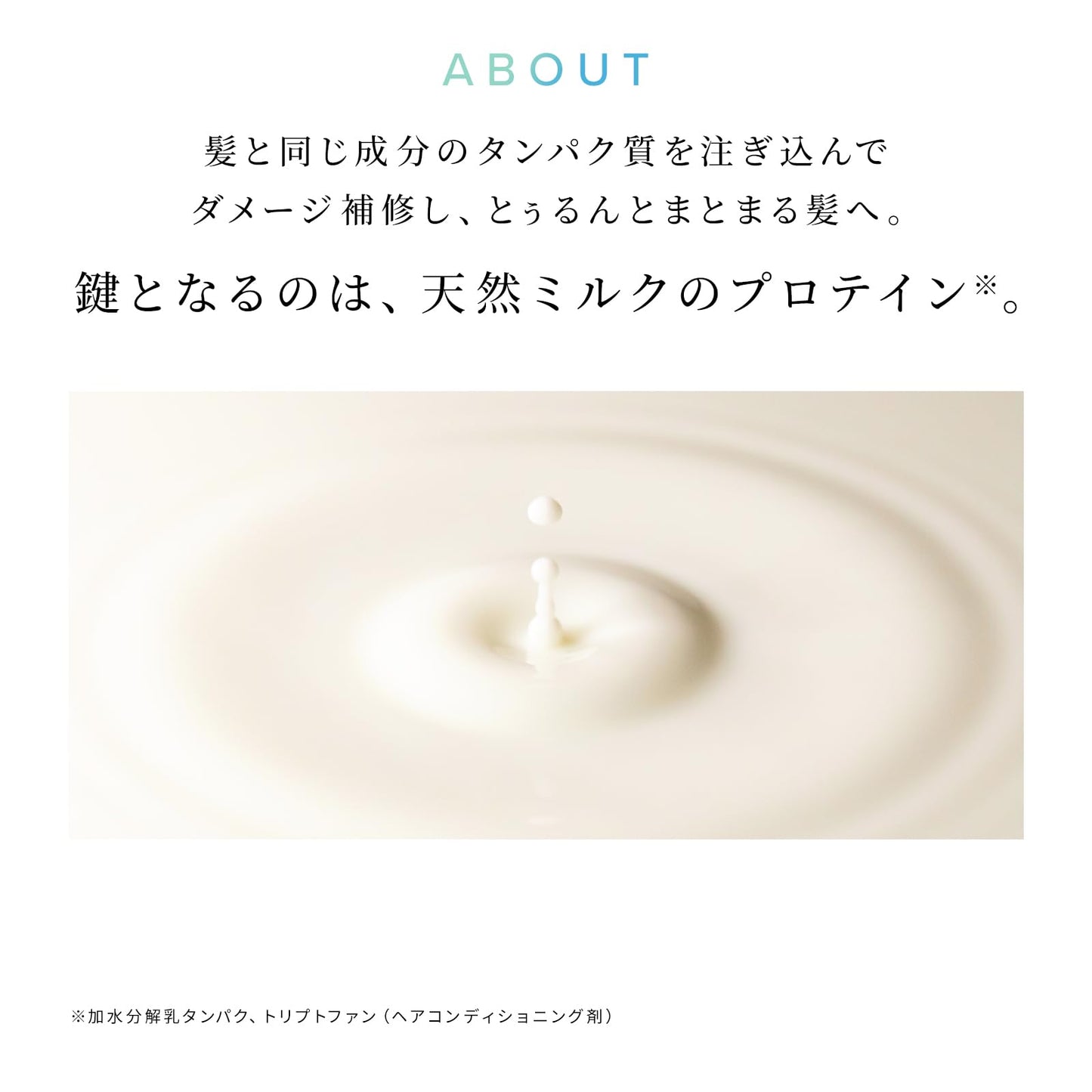 リファミルクプロテイン/ReFa MILK PROTEIN (500g（本体）, ミスティサボンミルク, シャンプー・トリートメントセット)