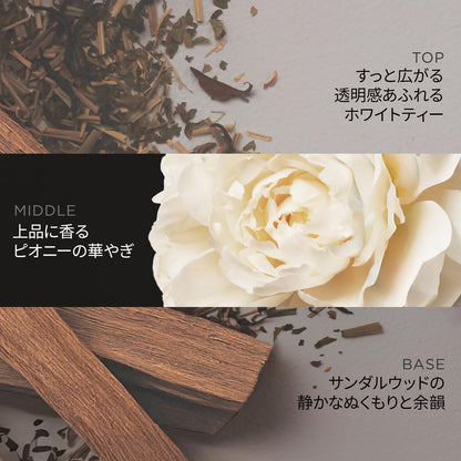 パンテーン [新モデル] EXP シャンプー＋コンディショナー セット 300g+300g ポンプ プレステージダメージケア