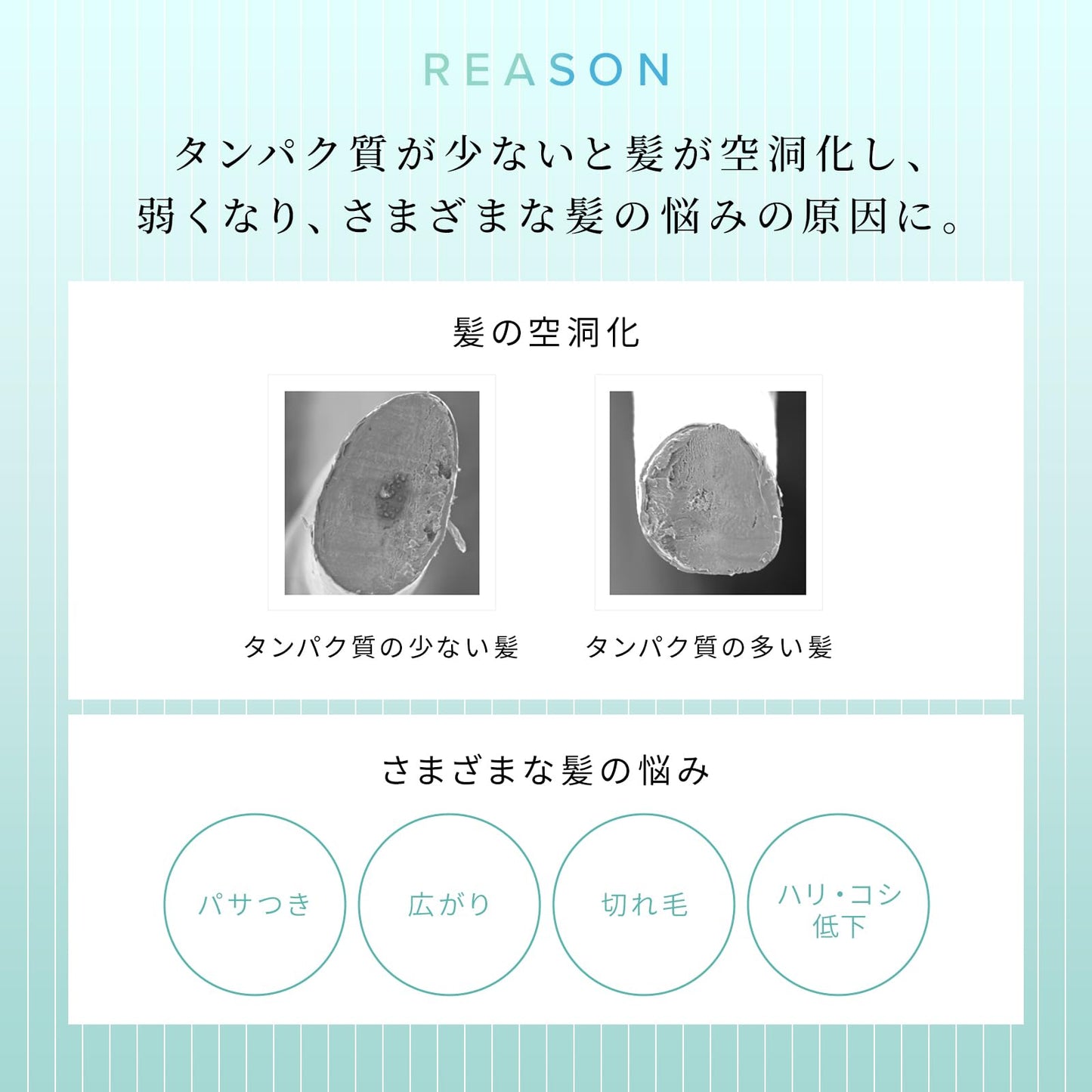 リファミルクプロテイン/ReFa MILK PROTEIN (500g（本体）, ミスティサボンミルク, シャンプー・トリートメントセット)