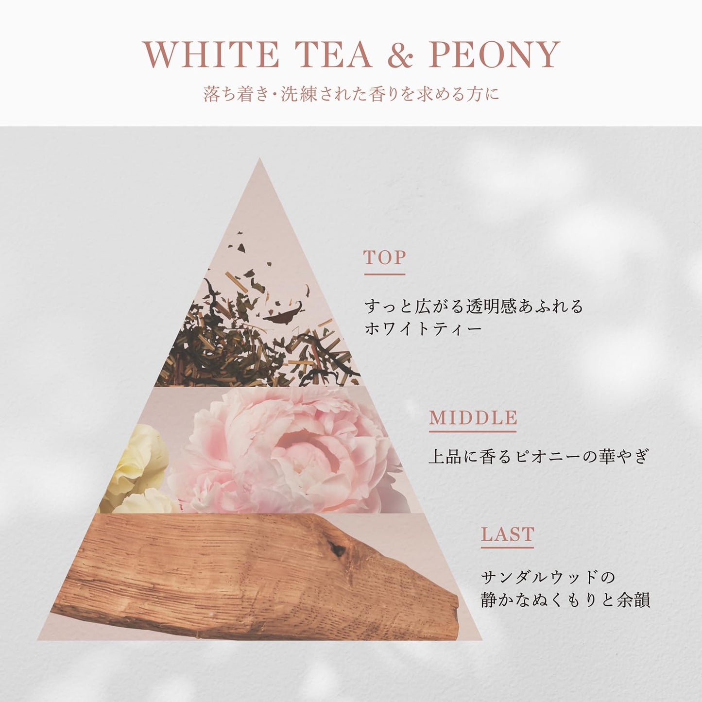 パンテーンミラクルズ [新モデル] シャンプー&トリートメント ファインフレグランス [ホワイトティー＆ピオニー] 400g+400g ポンプセット