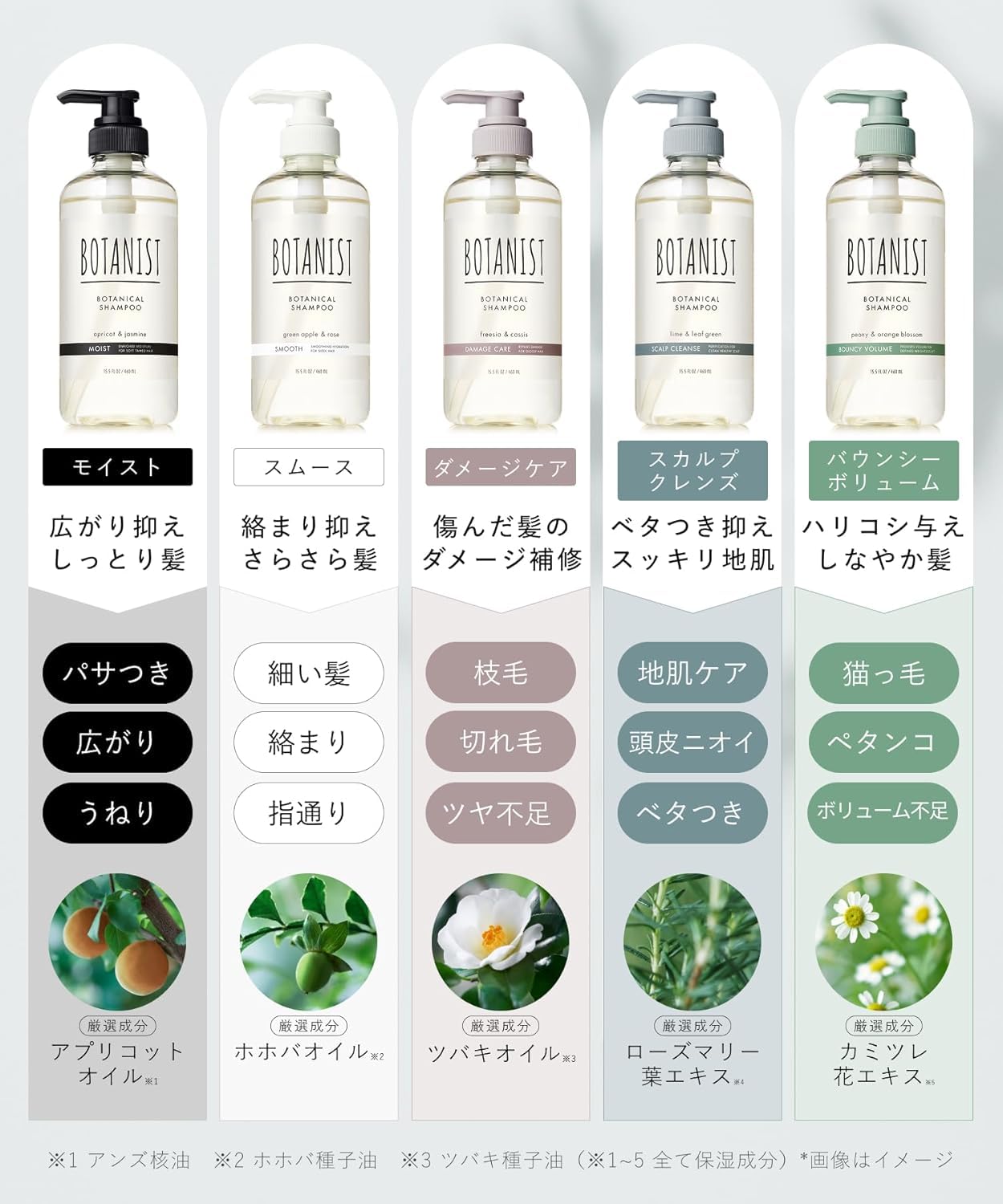 BOTANIST ボタニスト シャンプー トリートメント セット モイスト