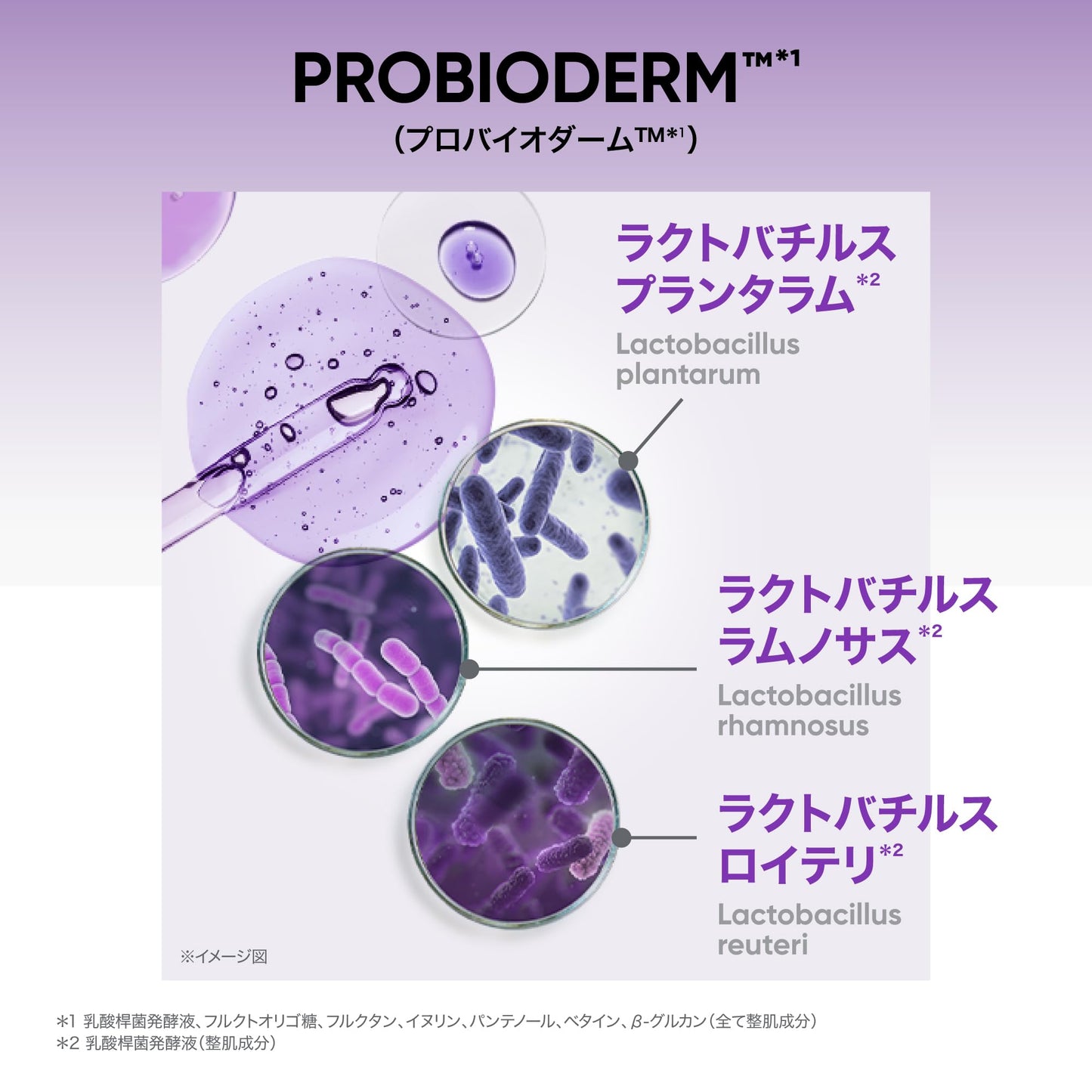 バイオヒールボ(BOH) プロバイオダーム コラーゲンリモデリングクリーム 50mL フェイスクリーム ペプチド エイジングケア コラーゲン 保湿 乾燥肌 ハリ 韓国コスメ