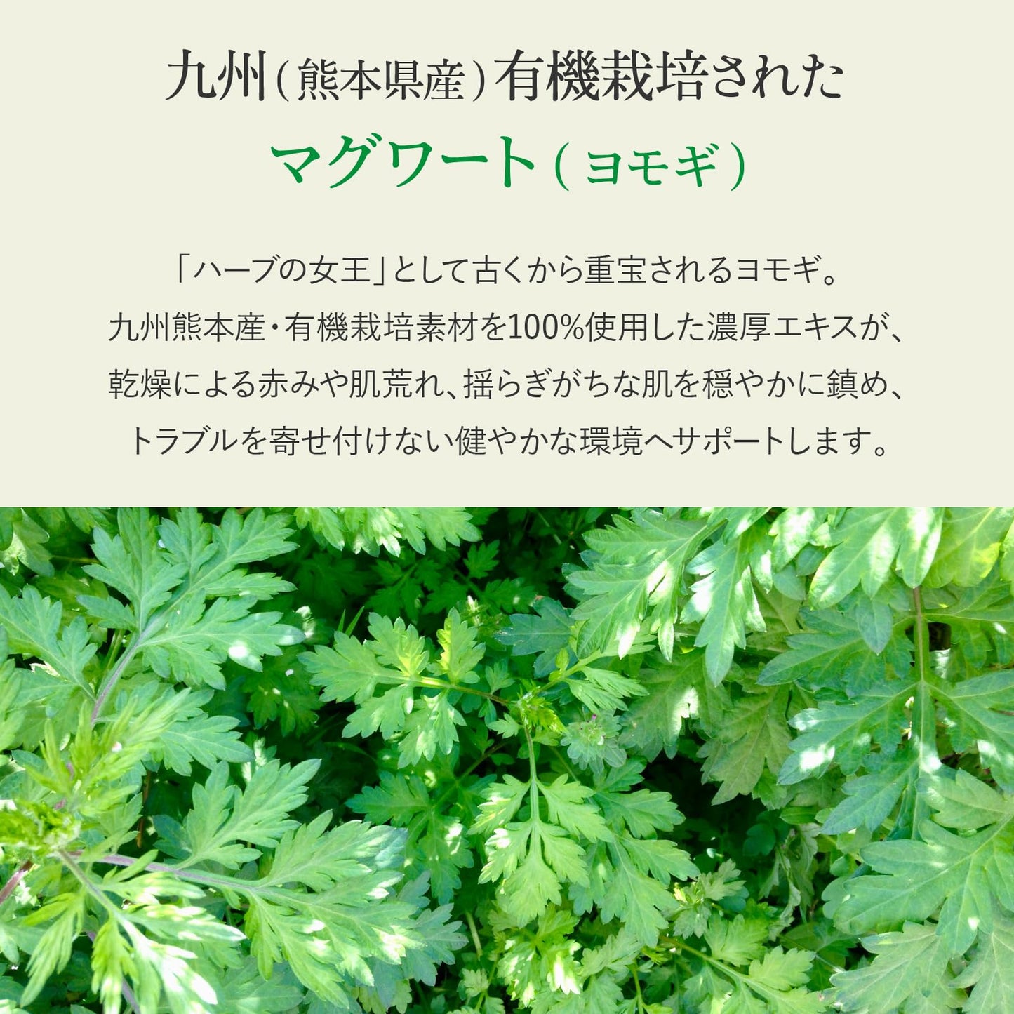 Giona Hydroskin Shot Sérum Microagulha Artemísia (Mugwort) Extrato de Centella Asiática Para Pele Irritada e Vermelhidão Houttuynia Cordata Niacinamida Sem Aditivos Para Pele Sensível Fabricado no Japão 30mL